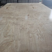 PLYWOOD