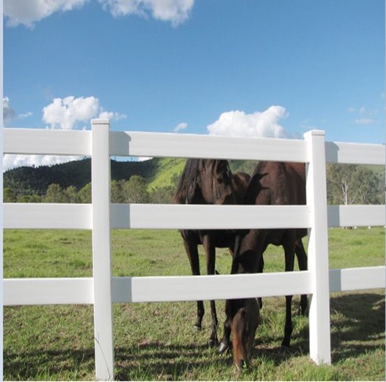 Customized 3rail PVC Horse Fence (10)